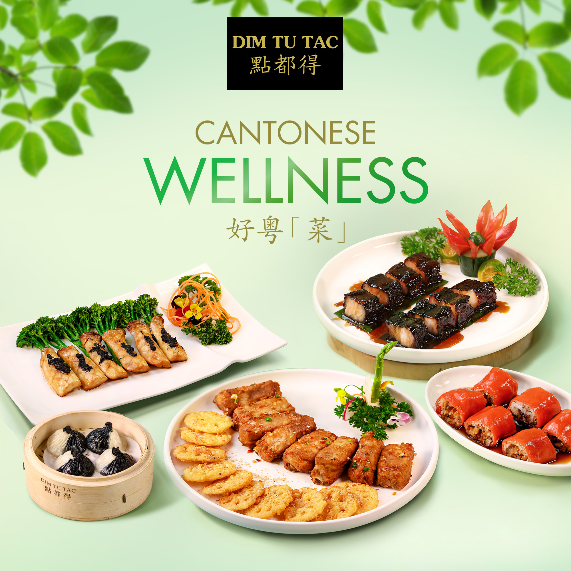 DIM TU TAC MONTHLY SPECIALS - CANTONESE WELLNESS