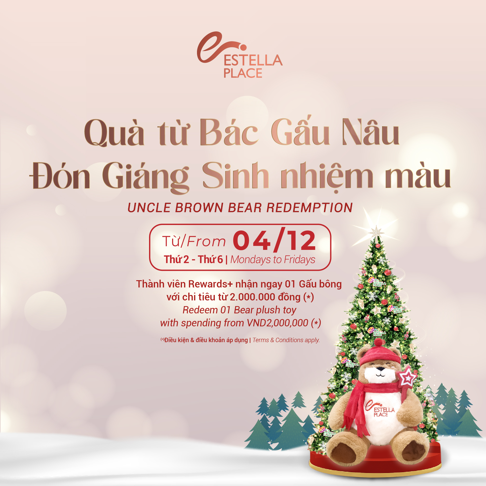 🐻QUÀ TỪ BÁC GẤU NÂU –🎁ĐÓN GIÁNG SINH NHIỆM MÀU