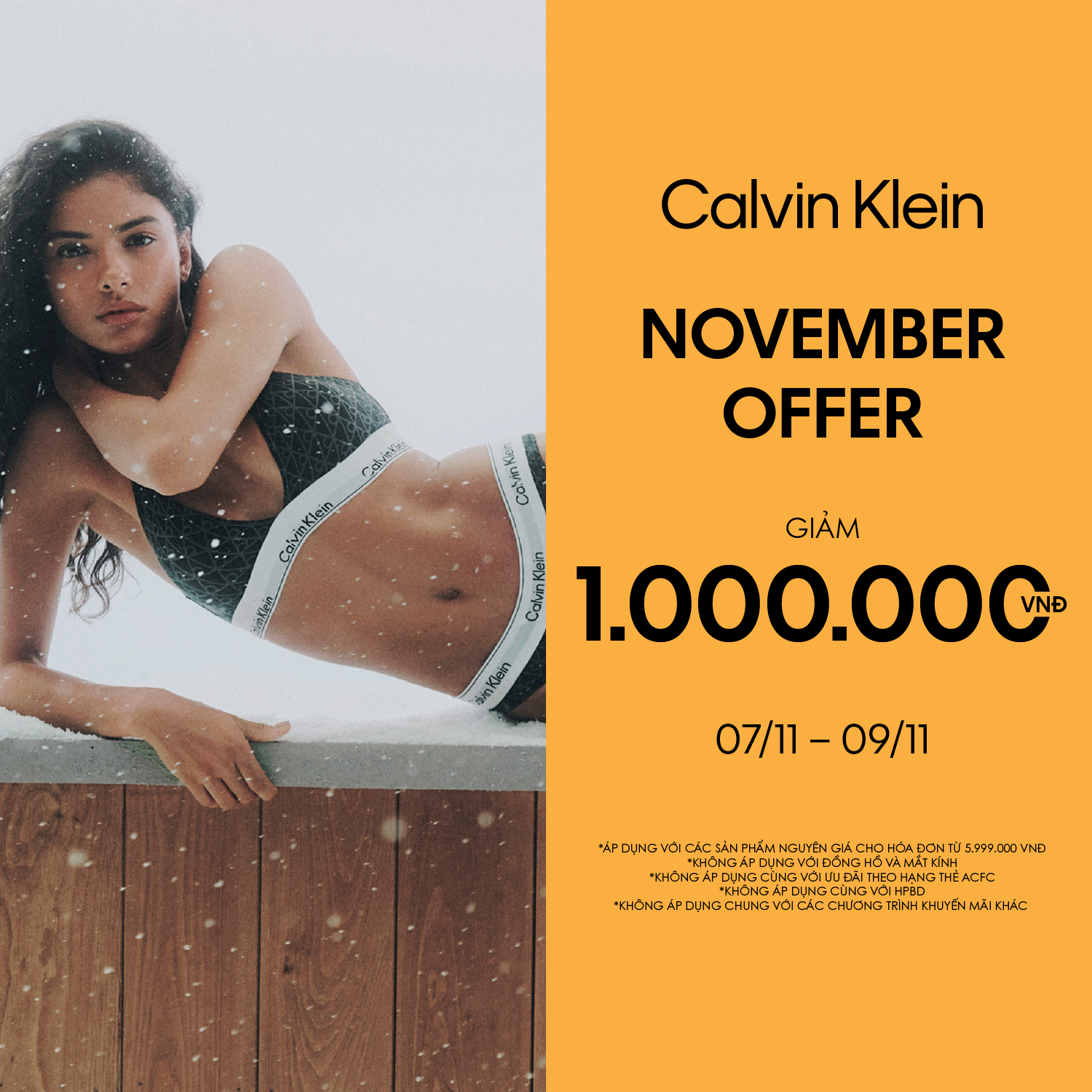 CALVIN KLEIN | NOVEMBER OFFER