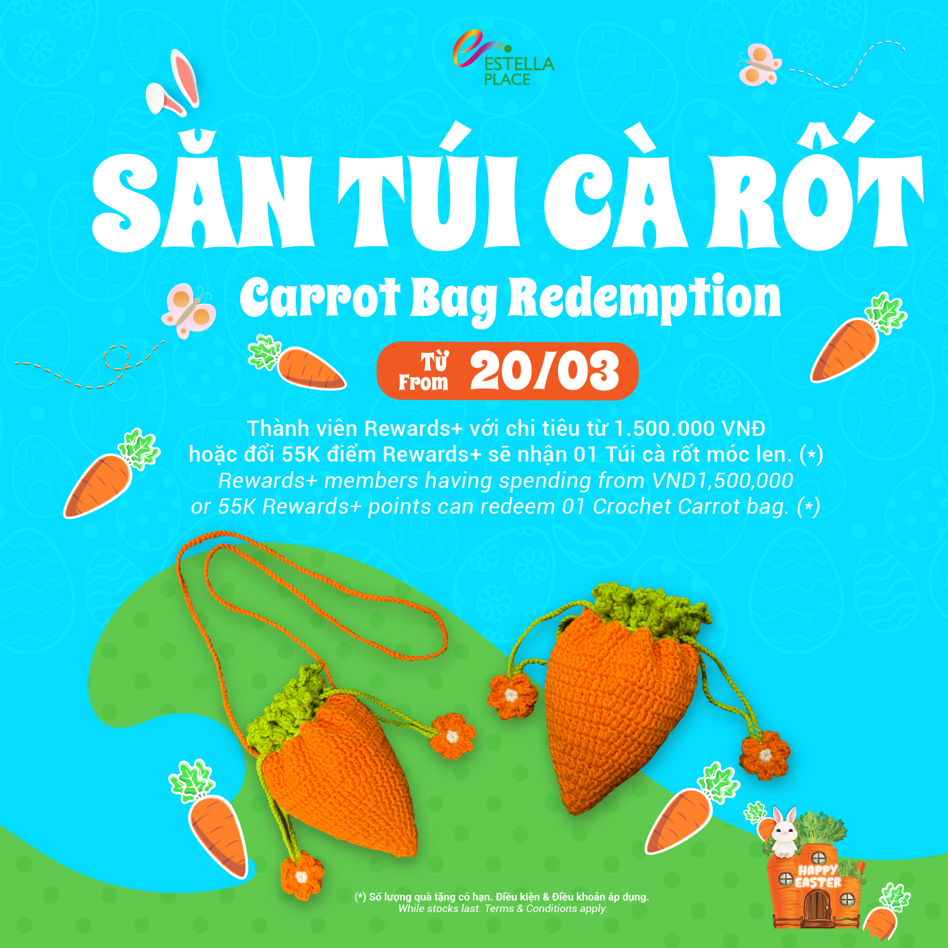 🥕SĂN TÚI CÀ RỐT🥕