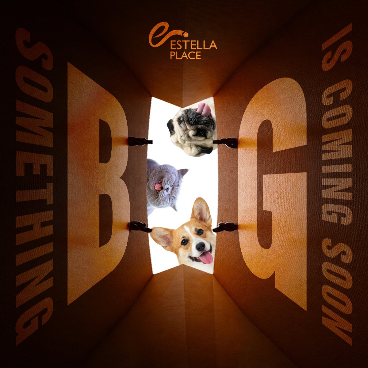 🎉Something BIG is COMING SOON at ESTELLA PLACE🎉