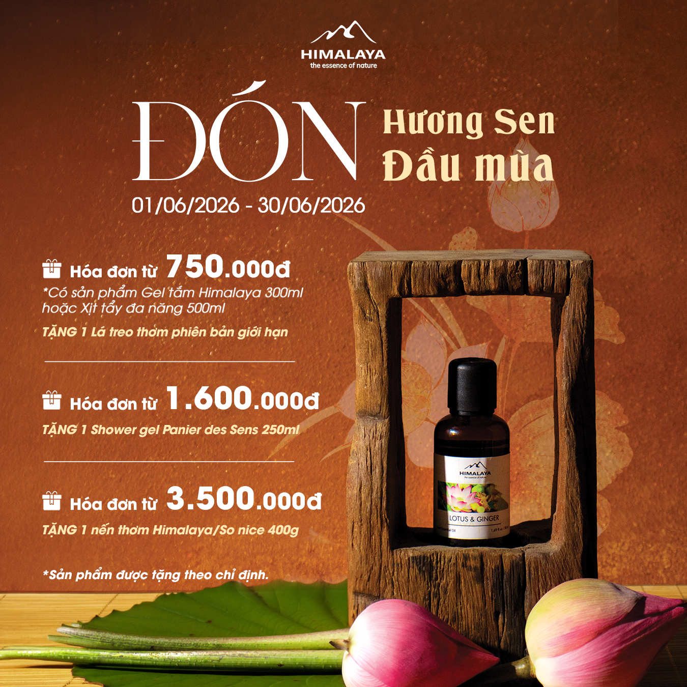 CTKM HIMALAYA T6: Đón hương Sen đầu mùa